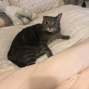 Meet your Posher, Hailey